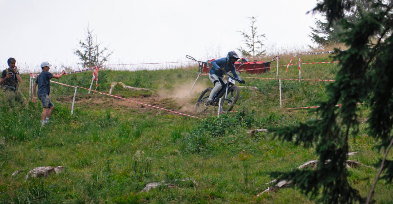 maks struna